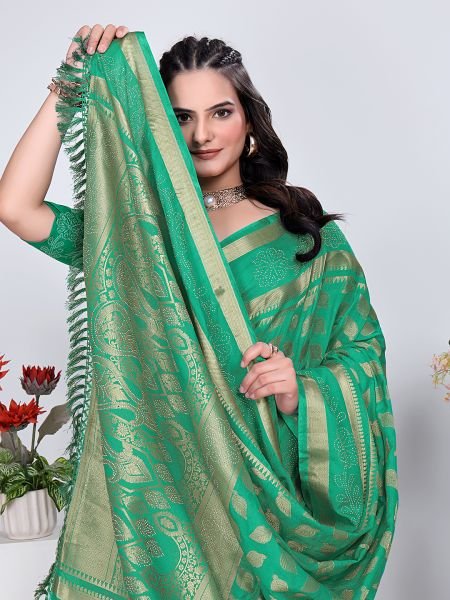 Banarasi Georgette Siroski Work Saree Banarasi Sarees