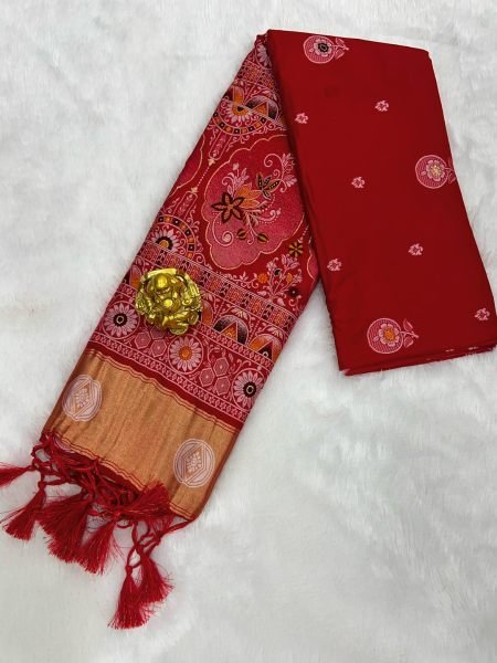 Patola Silk Saree with Traditional Pallu and Tassel Border Daily Deals
