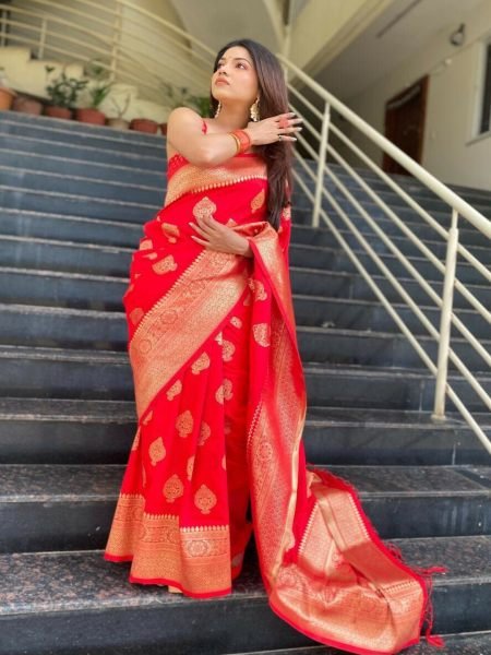 Pure Silk Jacquard Woven Red Banarasi Saree Sale